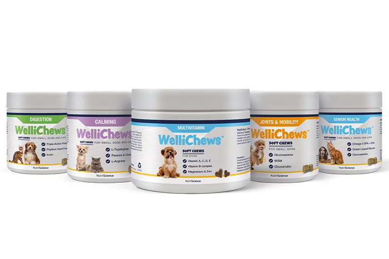 Swedencare launches WelliChews by NutriScience
