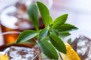 Sweet Green Fields announces extensive range of Non-GMO Project verified stevia ingredients