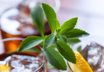 Sweet Green Fields announces extensive range of Non-GMO Project verified stevia ingredients