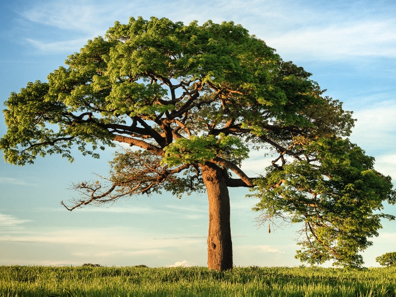 Symrise earns "Sustainability Heroes Award" from DQS