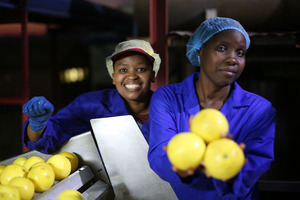 Symrise promotes sustainable cultivation of white grapefruit in KwaZulu-Natal