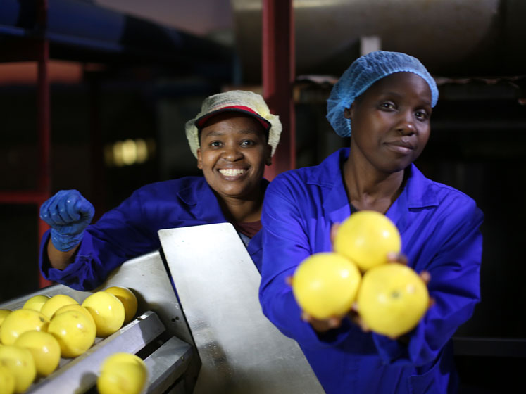 Symrise promotes sustainable cultivation of white grapefruit in KwaZulu-Natal