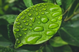 Synbiotic Health acquires new facility in Madison, Wisconsin
