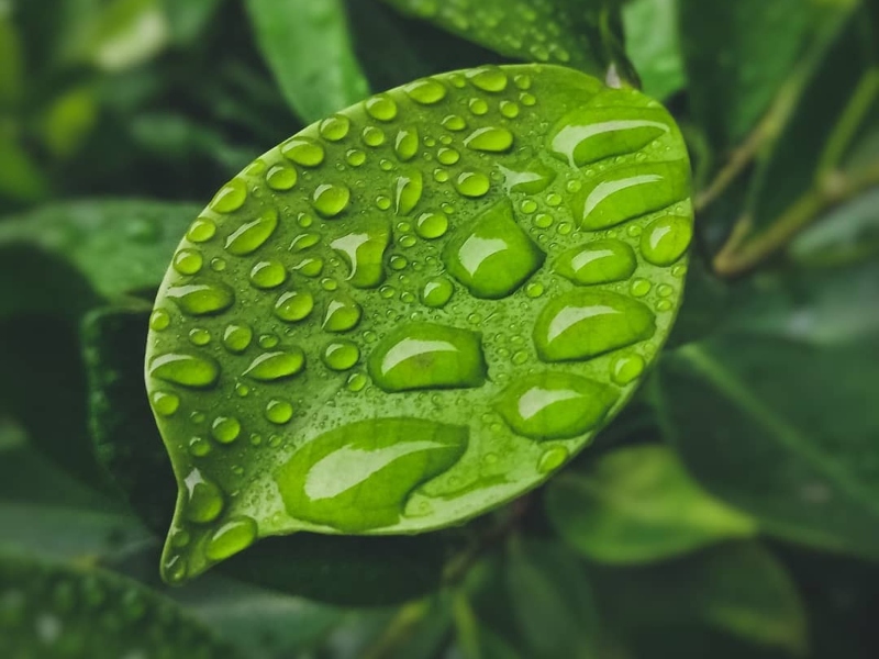 Synbiotic Health acquires new facility in Madison, Wisconsin