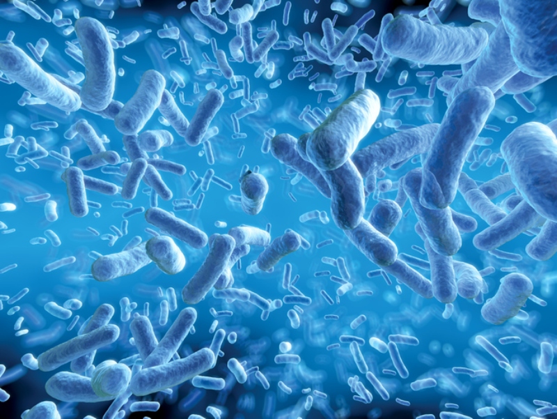 Synbiotic Health reveals further benefits for flagship probiotic strain