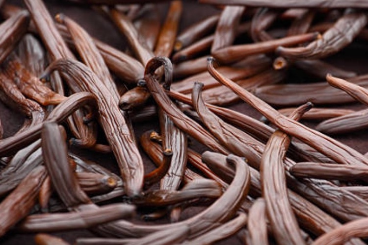 Synergy Flavours acquires natural flavourings supplier, Janousek