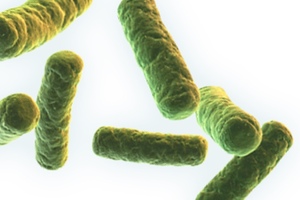 Taiwanese probiotic specialist signs exclusive European distribution deal