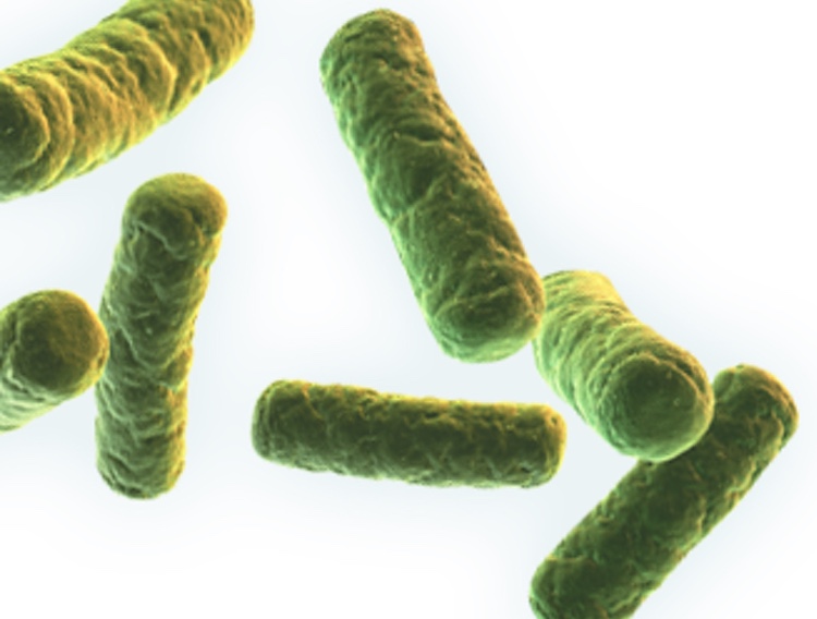 Taiwanese probiotic specialist signs exclusive European distribution deal
