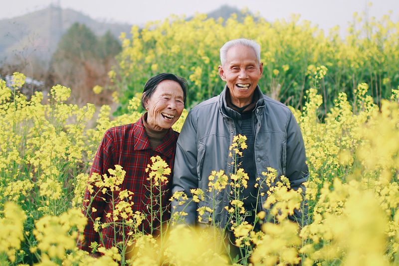 Taking omega-3 preserves the brains of older adults at risk of Alzheimer’s, study reveals
