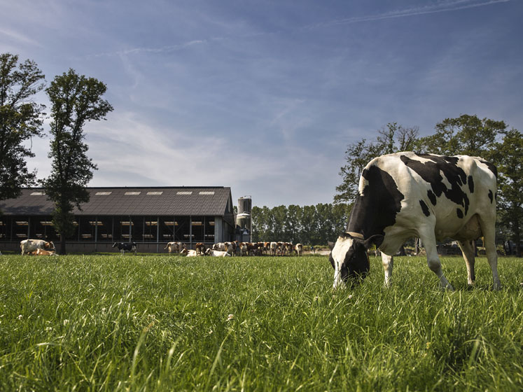 Taking the guesswork out of sustainability
