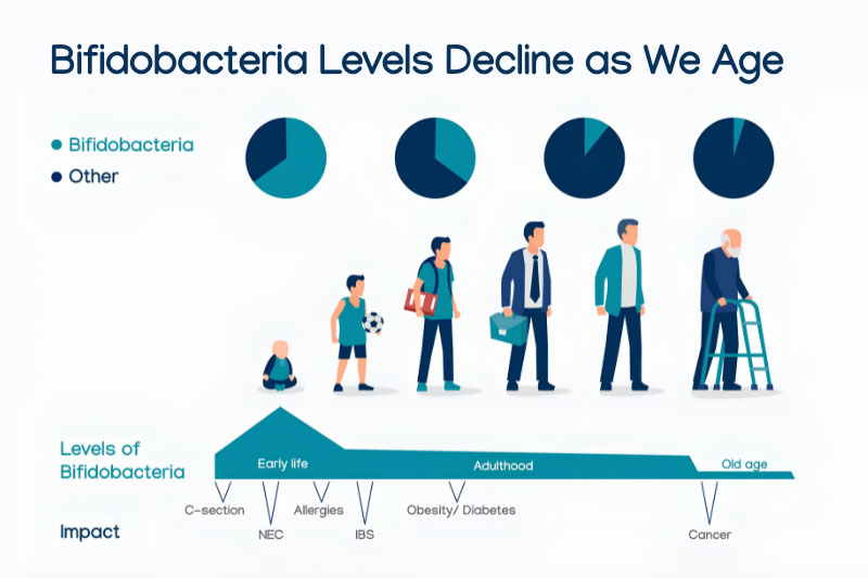 Targeting the microbiome for a longer, healthier life