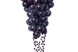 Taste, nutrition and value