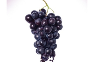 Taste, nutrition and value: Welch’s showcases triple benefits of Concord grape ingredients