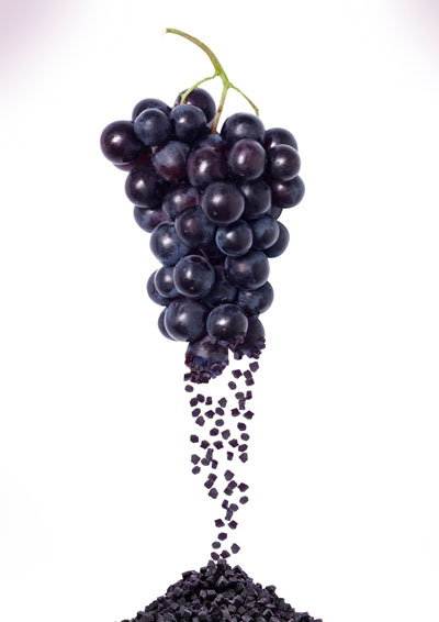 Taste, nutrition and value