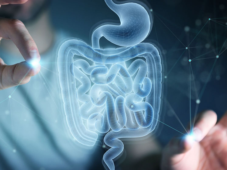 Tate & Lyle extends dietary fibre research collaboration with APC Microbiome Ireland