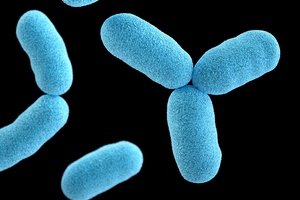 Teijin launches institute for functional foods