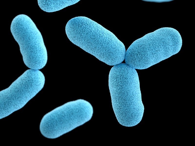 Teijin launches institute for functional foods