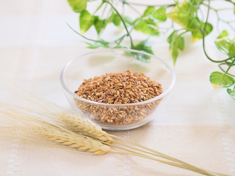 Teijin signs distribution deal to sell super barley in Europe