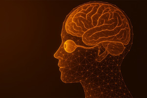 The eye-brain axis: nourishing cognition across life stages