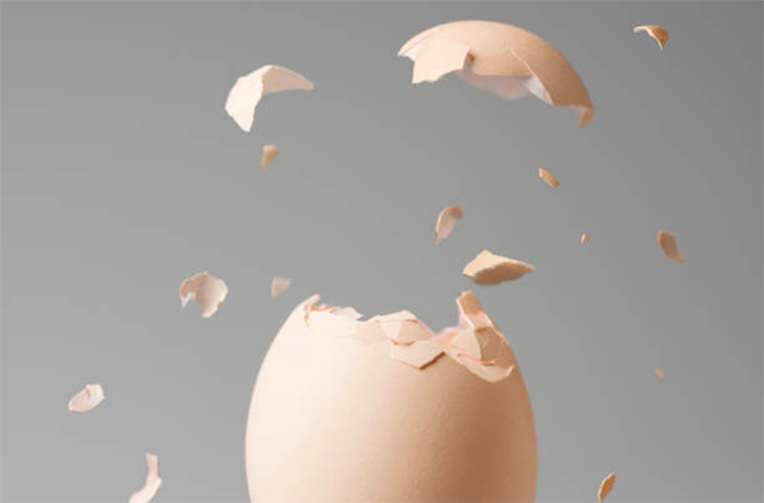 The first eggshell membrane ingredient to receive EU novel foods approval