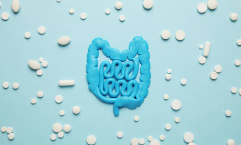The first probiotics for the brain-gut in Korea