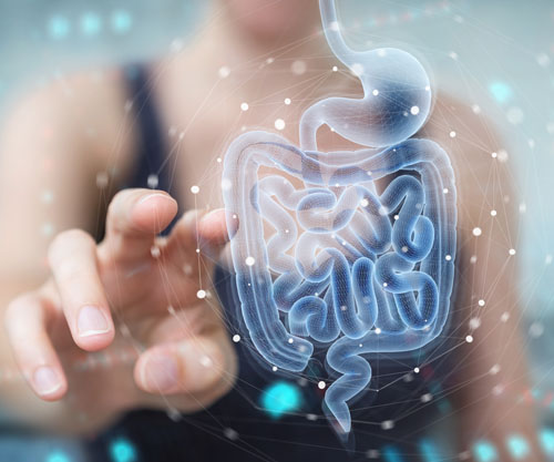 The impact of gut health on weight management