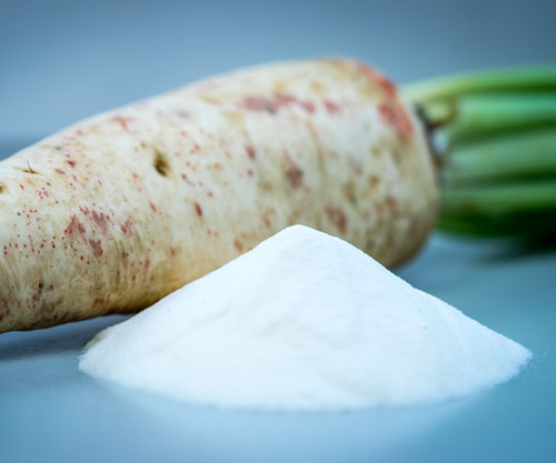 The impact of gut health on weight management