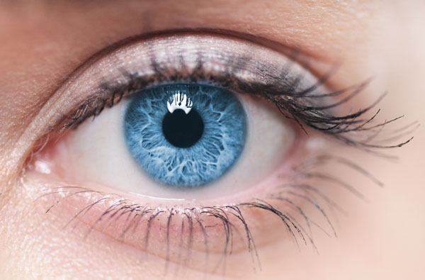 The MPS ll as part of your macular screening programme
