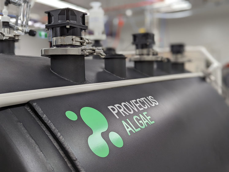 The next big expression chassis: microalgae and the future of biomanufacturing (part II) 
