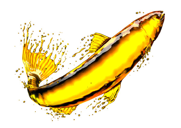 The road to success for omega-3 functional foods