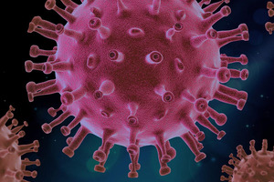 The role of adaptogens in the prophylaxis and treatment of viral respiratory infections
