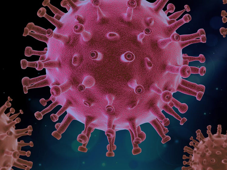 The role of adaptogens in the prophylaxis and treatment of viral respiratory infections
