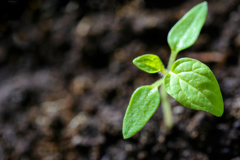 The SHI focuses on sustainability in the nutraceutical industry with the 4th edition of the 'Learning Lab'