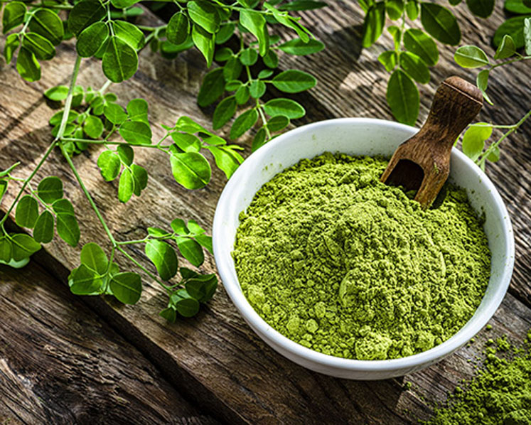 The significance of botanical extracts in immune support