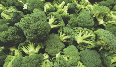 The story behind super broccoli