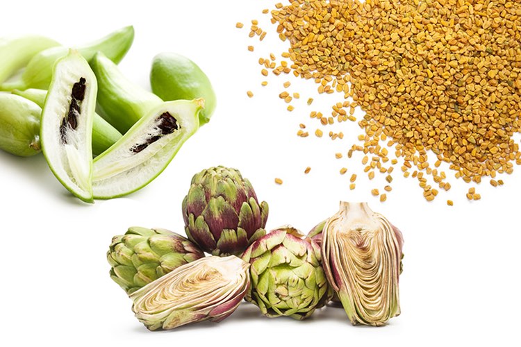 Three plants contribute to holistic approach to lipid metabolism