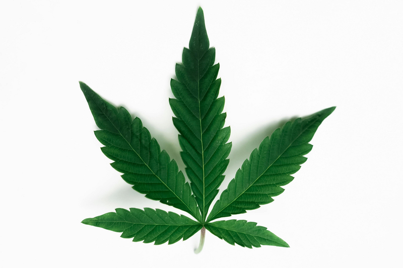 Tilray Medical receives approval for medical cannabis extract in Portugal