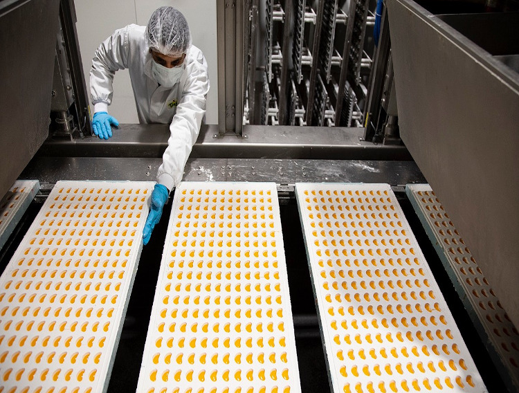 TopGum secures investment from AP Partners Fund