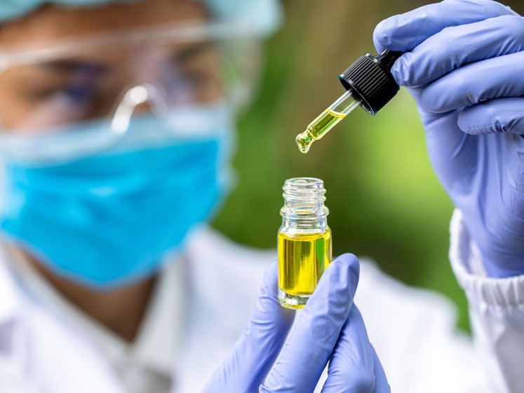 Trends in the CBD sector: 2024 just got greener