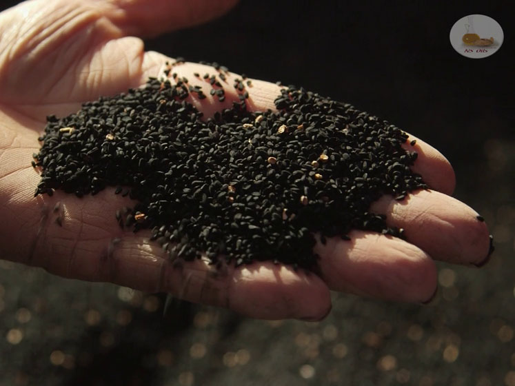 TriNutra achieves self-affirmed GRAS status for its standardised, cold-pressed black seed oil