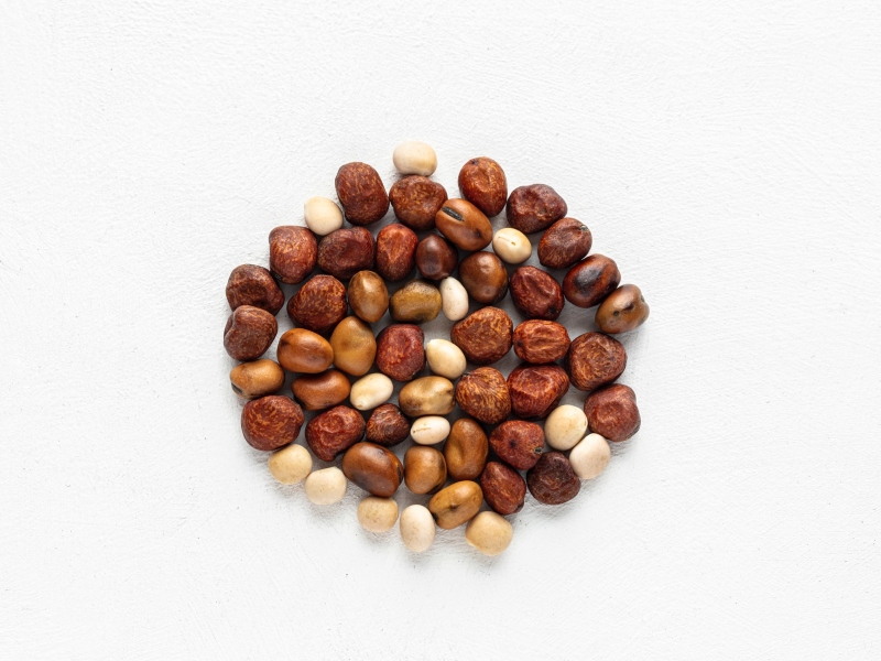 Ulrick & Short launches plant-based ingredient based on upcycled rapeseed