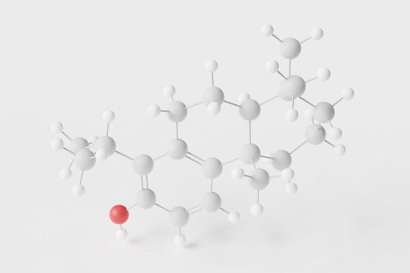 Unlocking coffee’s hidden chemistry: new diterpenes show anti-diabetic promise
