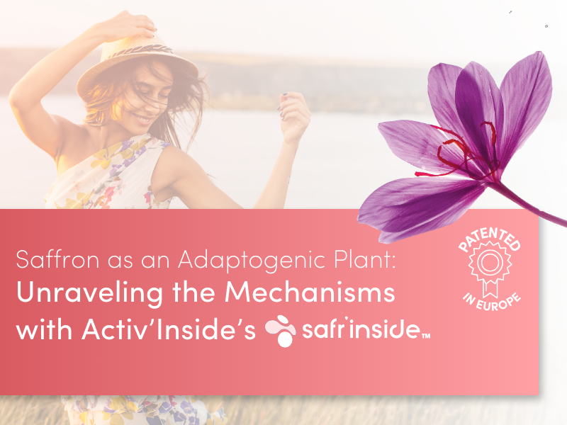 Unravelling the mechanisms of saffron as an adaptogenic plant