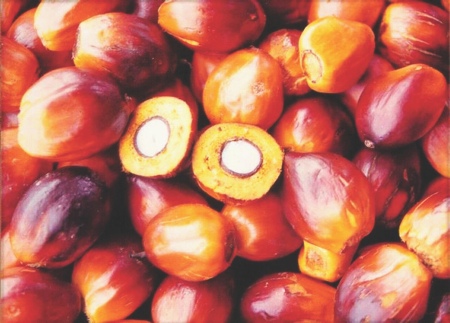 Unsaturated vitamin E for a healthy heart
