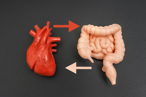Unveiling the gut-heart connection: the role of microbiota in heart failure