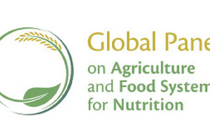 Urban diets and nutrition: trends, challenges and opportunities for policy action