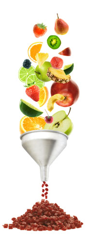 URC fruit innovations take centre stage for Taura 