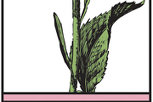 US herbal dietary supplement retail sales up 7.9% in 2013