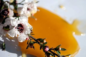 US Pharmacopeia’s Food Fraud Database identifies honey as third most faked food