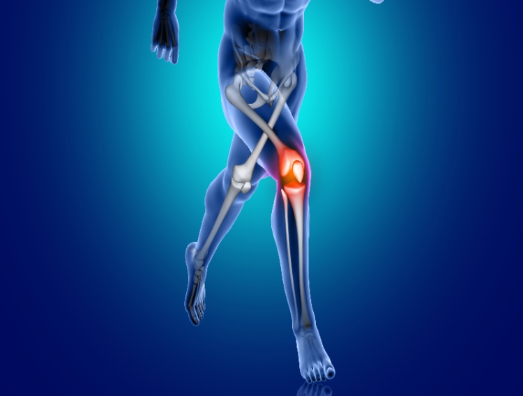 Vedic Lifesciences study reveals effects of an oral herb seed oil product on inflammation